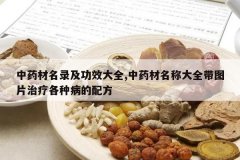 <b>��ҩ����¼����Ч��ȫ,��ҩ�����ƴ�ȫ��ͼƬ���Ƹ��ֲ����䷽</b>