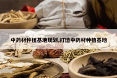 <b>��ҩ����ֲ���ع滮,������ҩ����ֲ����</b>