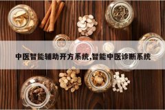 <b>��ҽ���ܸ�������ϵͳ,������ҽ���ϵͳ</b>