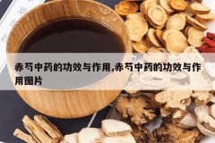 <b>������ҩ�Ĺ�Ч������,������ҩ�Ĺ�Ч������ͼƬ</b>