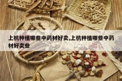 <b>�Ϻ���ֲ��Щ��ҩ�ĺ���,�Ϻ���ֲ��Щ��ҩ�ĺ���Щ</b>