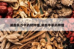 <b>���ϳ�ɳ��ҩ����ֲ,�����в�ҩ��ֲ</b>