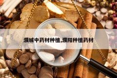 <b>姳���ҩ����ֲ,�����ֲҩ��</b>