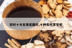 <b>ũ��ʮ���޶���ͼƬ,ʮ��ũ�峣����</b>