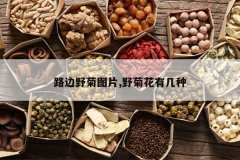 <b>·��Ұ��ͼƬ,Ұ�ջ��м���</b>