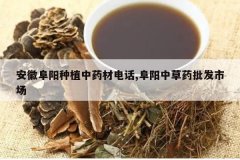 <b>���ո�����ֲ��ҩ�ĵ绰,�����в�ҩ�����г�</b>