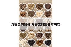 <b>�����ı���,�����ı����빦Ч</b>