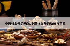 <b>��ҩ��Ѫĸ�Ĺ�Ч,��ҩ��Ѫĸ�Ĺ�Ч�����</b>