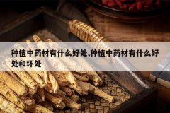 <b>��ֲ��ҩ����ʲô�ô�,��ֲ��ҩ����ʲô�ô��ͻ���</b>