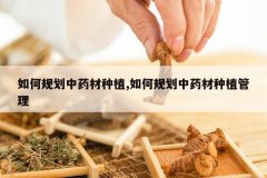 <b>��ι滮��ҩ����ֲ,��ι滮��ҩ����ֲ����</b>