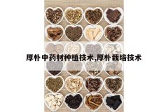 <b>������ҩ����ֲ����,�������༼��</b>