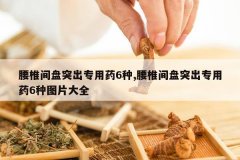 <b>��׵����ͻ��ר��ҩ6��,��׵����ͻ��ר��ҩ6��ͼƬ��ȫ</b>