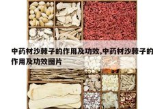 <b>��ҩ��ɳ���ӵ����ü���Ч,��ҩ��ɳ���ӵ����ü���ЧͼƬ</b>