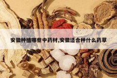 <b>������ֲ��Щ��ҩ��,�����ʺ���ʲôҩ��</b>