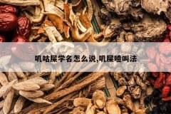 <b>ߴ��ʺѧ����ô˵,ߴʺ���з�</b>