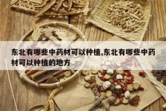 <b>��������Щ��ҩ�Ŀ�����ֲ,��������Щ��ҩ�Ŀ�����ֲ�ĵط�</b>