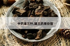 <b>��ҩ����Ҷ,����ҩ�ü�ֵ</b>