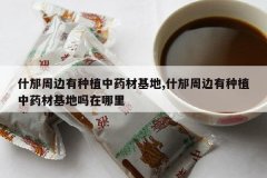 <b>ʲ���ܱ�����ֲ��ҩ�Ļ���,ʲ���ܱ�����ֲ��ҩ�Ļ�����������</b>