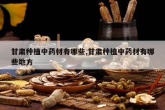 <b>������ֲ��ҩ������Щ,������ֲ��ҩ������Щ�ط�</b>