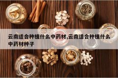 <b>�����ʺ���ֲʲô��ҩ��,�����ʺ���ֲʲô��ҩ������</b>