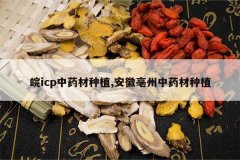 <b>��icp��ҩ����ֲ,����������ҩ����ֲ</b>