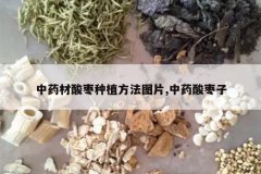 <b>��ҩ��������ֲ����ͼƬ,��ҩ������</b>