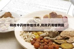 <b>������ҩ����ֲ����,����ҩ��ֲ��԰</b>