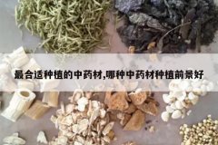 <b>�������ֲ����ҩ��,������ҩ����ֲǰ����</b>