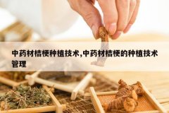 <b>��ҩ�Ľ۹���ֲ����,��ҩ�Ľ۹�����ֲ��������</b>