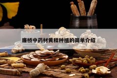 <b>������ҩ�Ļƾ���ֲ�ļ򵥽���</b>