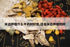 <b>ˮ����ֲʲô��ҩ�ĺ�Щ,�ʺ�ˮ����ֲ����</b>