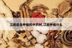 <b>�����ʺ���ֲ����ҩ��,������ֲʲô</b>