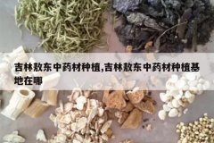 <b>���ְ�����ҩ����ֲ,���ְ�����ҩ����ֲ��������</b>