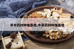 <b>Ѱ��ҩ����ֲ����,�в�ҩ����ֲ����</b>