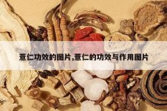 <b>޲�ʹ�Ч��ͼƬ,޲�ʵĹ�Ч������ͼƬ</b>