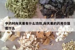 <b>��ҩ���������ʲô��Ч,�������ҩ�ü�ֵ��ʲô</b>