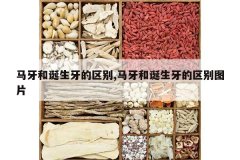 <b>�����͵�����������,�����͵�����������ͼƬ</b>