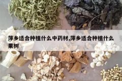 <b>Ƽ���ʺ���ֲʲô��ҩ��,Ƽ���ʺ���ֲʲô����</b>