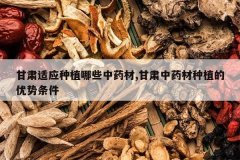 <b>������Ӧ��ֲ��Щ��ҩ��,������ҩ����ֲ����������</b>