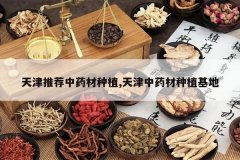 <b>����Ƽ���ҩ����ֲ,�����ҩ����ֲ����</b>