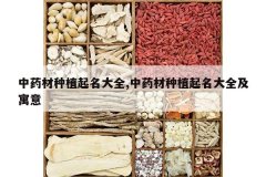 <b>��ҩ����ֲ������ȫ,��ҩ����ֲ������ȫ��Ԣ��</b>