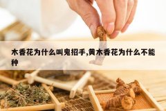 <b>ľ�㻨Ϊʲô�й�����,��ľ�㻨Ϊʲô������</b>