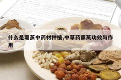 <b>ʲô��Ѭ����ҩ����ֲ,�в�ҩѬ����Ч������</b>