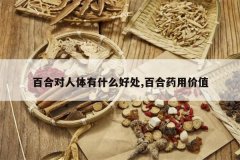 <b>�ٺ϶�������ʲô�ô�,�ٺ�ҩ�ü�ֵ</b>