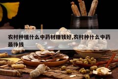 <b>ũ����ֲʲô��ҩ��׬Ǯ��,ũ����ʲô��ҩ����Ǯ</b>