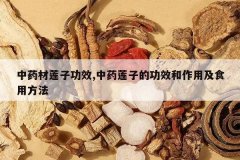 <b>��ҩ�����ӹ�Ч,��ҩ���ӵĹ�Ч�����ü�ʳ�÷���</b>