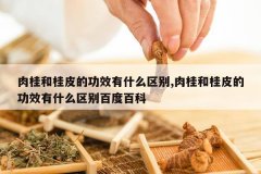 <b>���͹�Ƥ�Ĺ�Ч��ʲô����,���͹�Ƥ�Ĺ�Ч��ʲô����ٶȰ�</b>