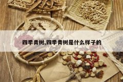 <b>�ļ�����,�ļ�������ʲô���ӵ�</b>