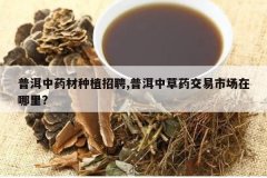 <b>�ն���ҩ����ֲ��Ƹ,�ն��в�ҩ�����г�������?</b>