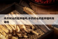 <b>��ҩ��ɽҩ����ֲ��,��ҩ��ɽҩ����ֲ���ж���</b>